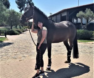 CAROLINA_dressage mare (6)
