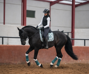 Auf der Rennstrecke fahren (1)