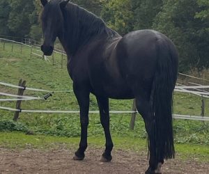 F7