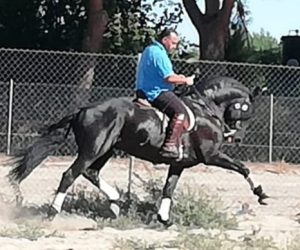 IMG-20250303-WA0165