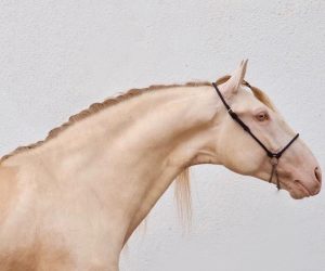 PHOTO-2023-01-12-14-24-07 1