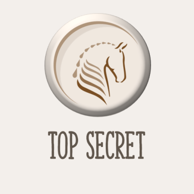 Top Secret 3