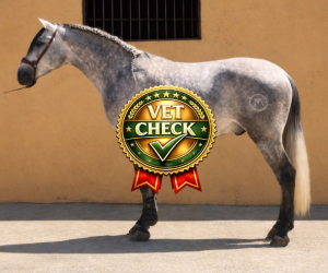 Tierarztcheck ZIAN.2